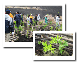 富士山植樹活動報告