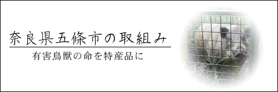 奈良県五條市