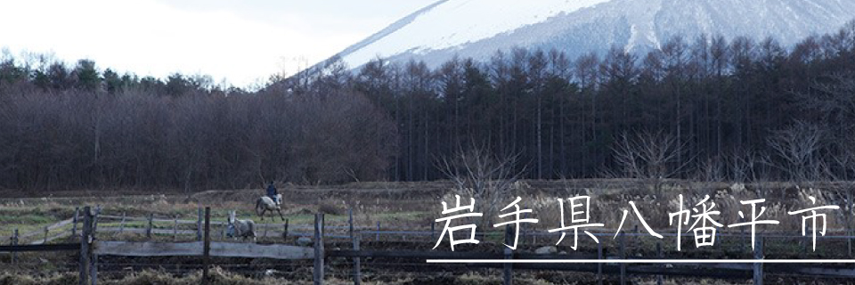 岩手県八幡平市