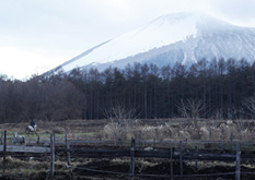 岩手県八幡平市の風景