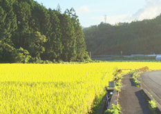 三原村田園風景